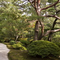Kyoto Imperial Palace 099.jpg